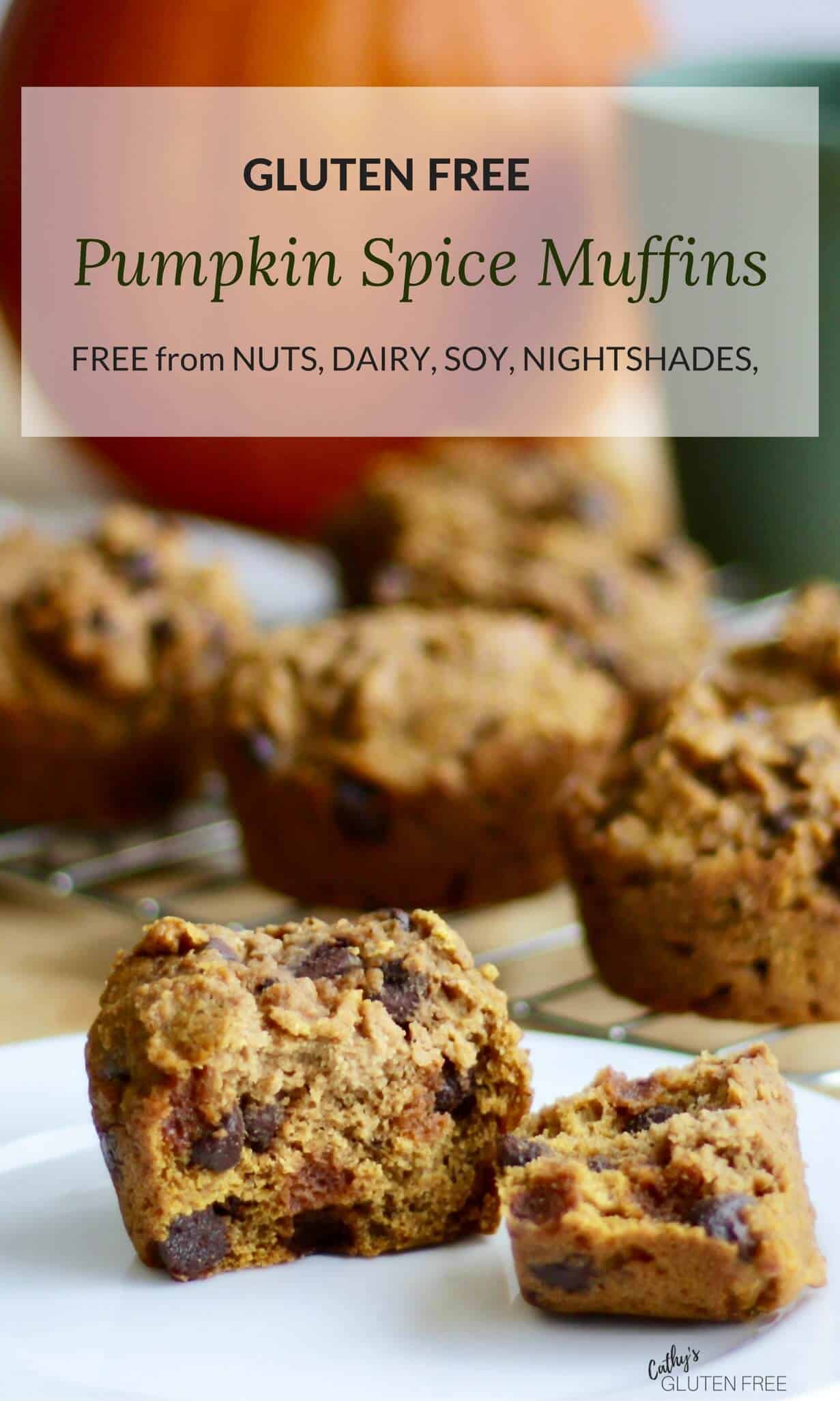 Gluten Free Pumpkin Spice Muffins | Free from nuts, soy, corn, nightshades CathysGlutenFree.com #healthy #easy #gluten free #homemade #with chocolate chips