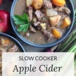bowl of stew with beef, carrots, and apples in gravy as seen from above.