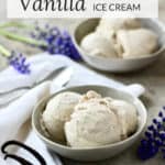 Homemade Dairy Free Vanilla Ice Cream