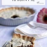 gluten free raisin pie sliced and served to one