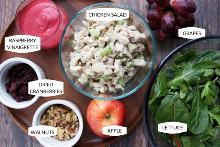 raspberry vinaigrette, chicken salad, grapes, dried cranberries, walnuts, apple, and salad greens