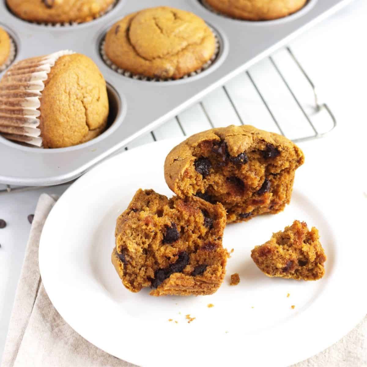 pumpkin muffin with chocolate chips broken open on white plate