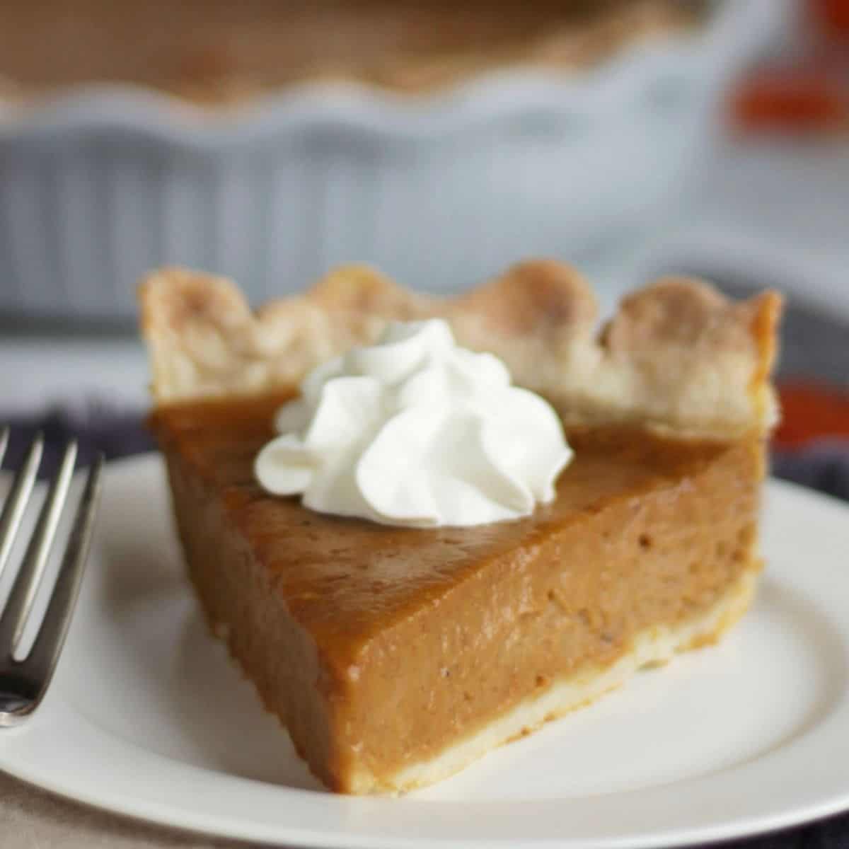 closeup of a slice of pumpkin pie with a dollop of whipped cream on a white plate.