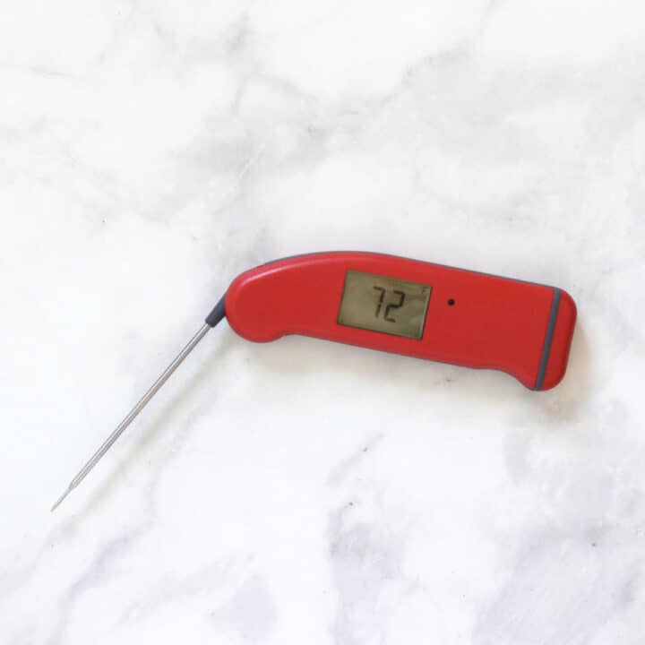 red Thermapen