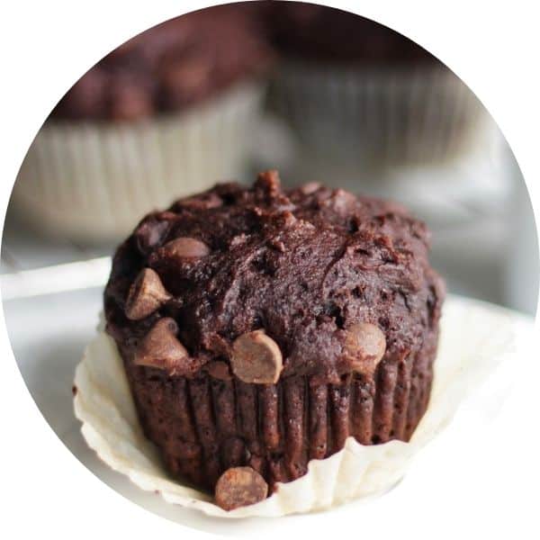 chocolate muffin with chocolate chips