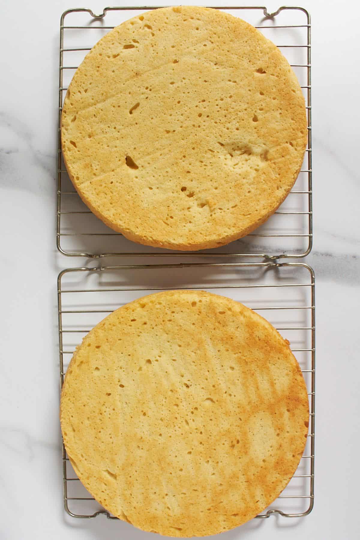 two golden baked cake layers.