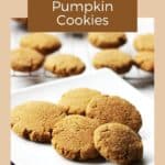 thick golden cookies scattered on a white plate