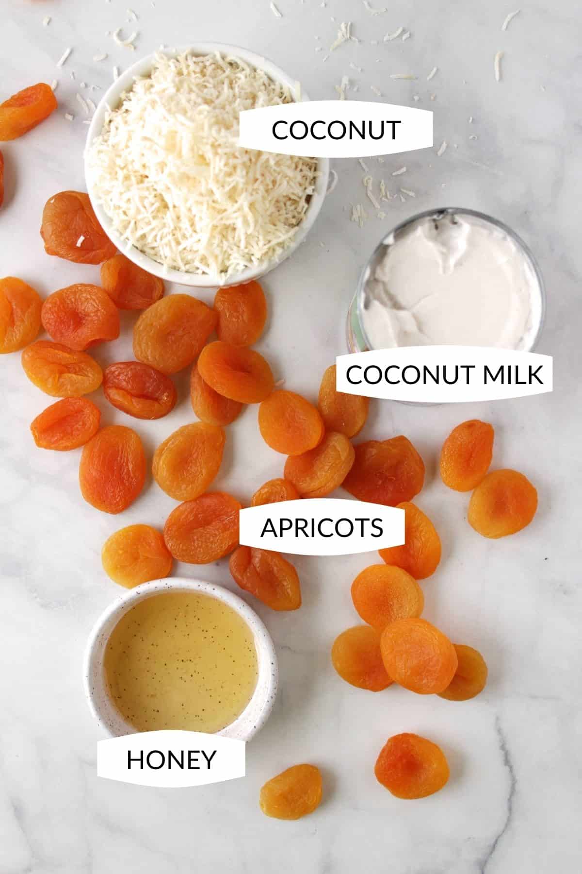 bowl of shredded coconut, can of coconut milk, dried apricots lying loose, and a small dish of honey.