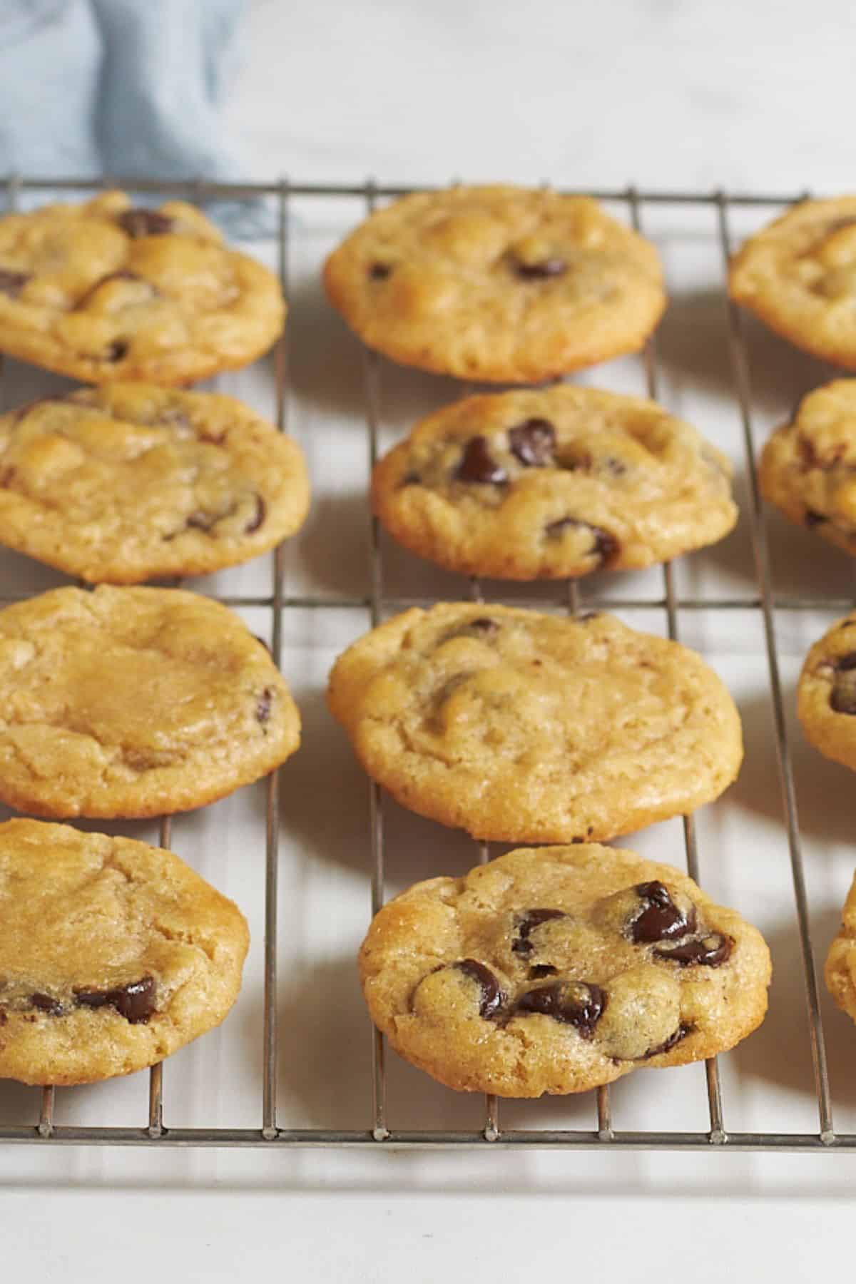 baked chocolate chip cookies on a wire rack.