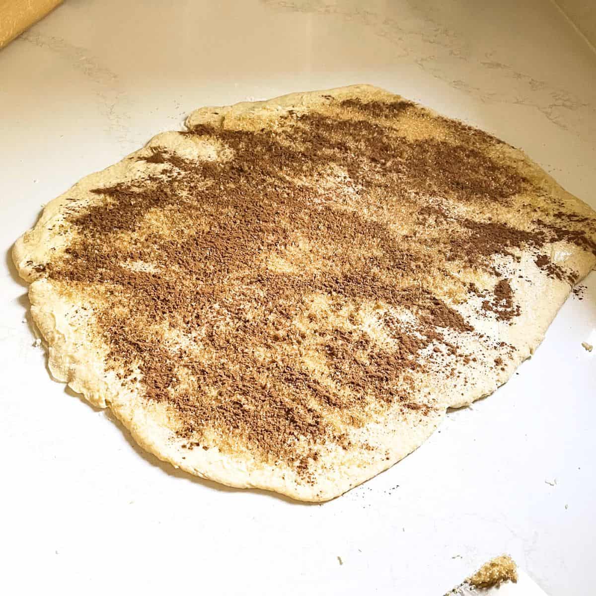 rolled out dough sprinkled with cinnamon
