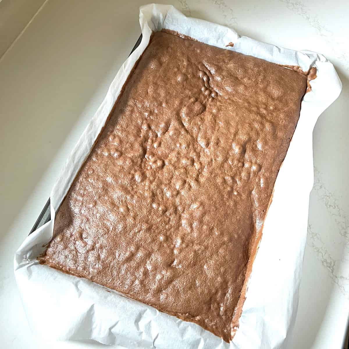 baked chocolate sponge cake in parchment-lined pan.